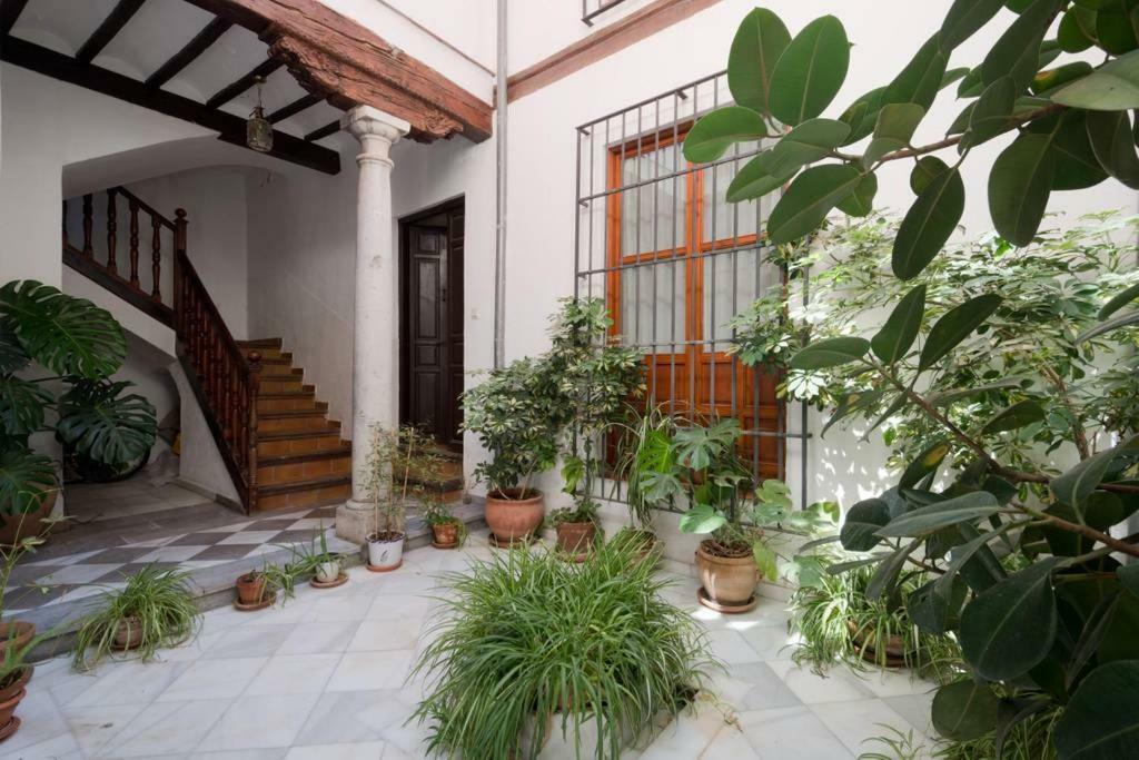 شقة Stunning Alhambra View Balconies, In The Albayzin غرناطة المظهر الخارجي الصورة